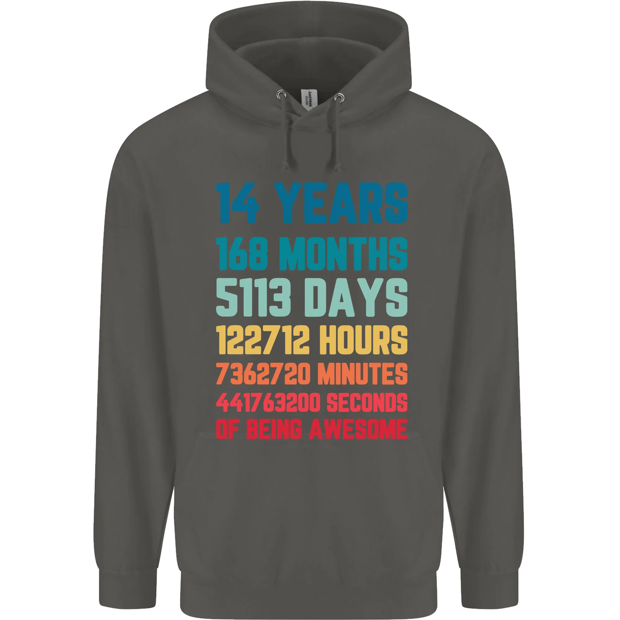 14th Birthday 14 Year Old Childrens Kids Hoodie