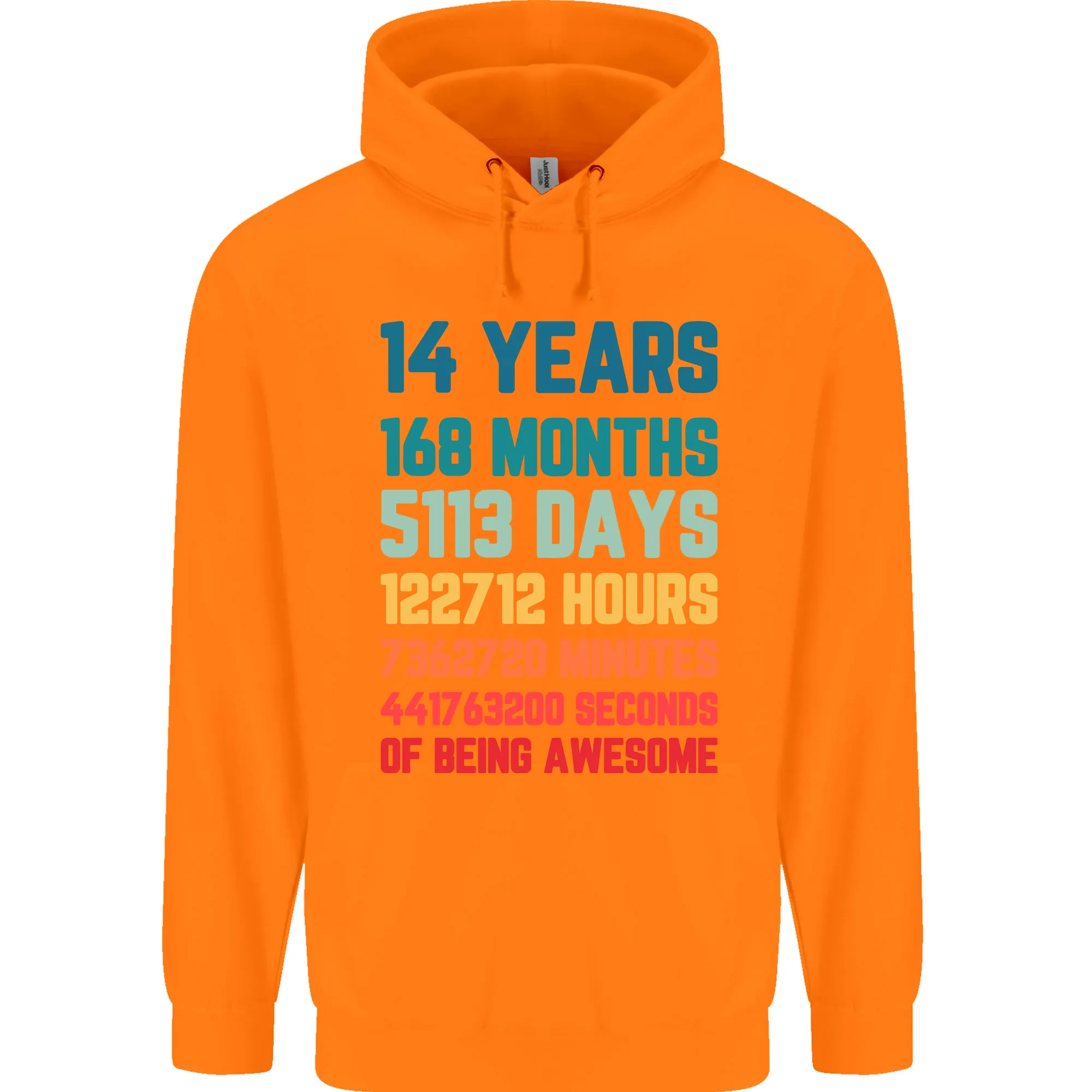 14th Birthday 14 Year Old Childrens Kids Hoodie