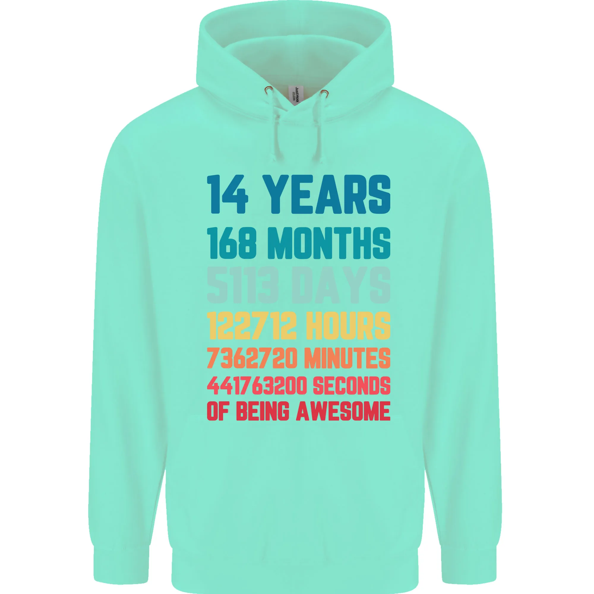 14th Birthday 14 Year Old Childrens Kids Hoodie