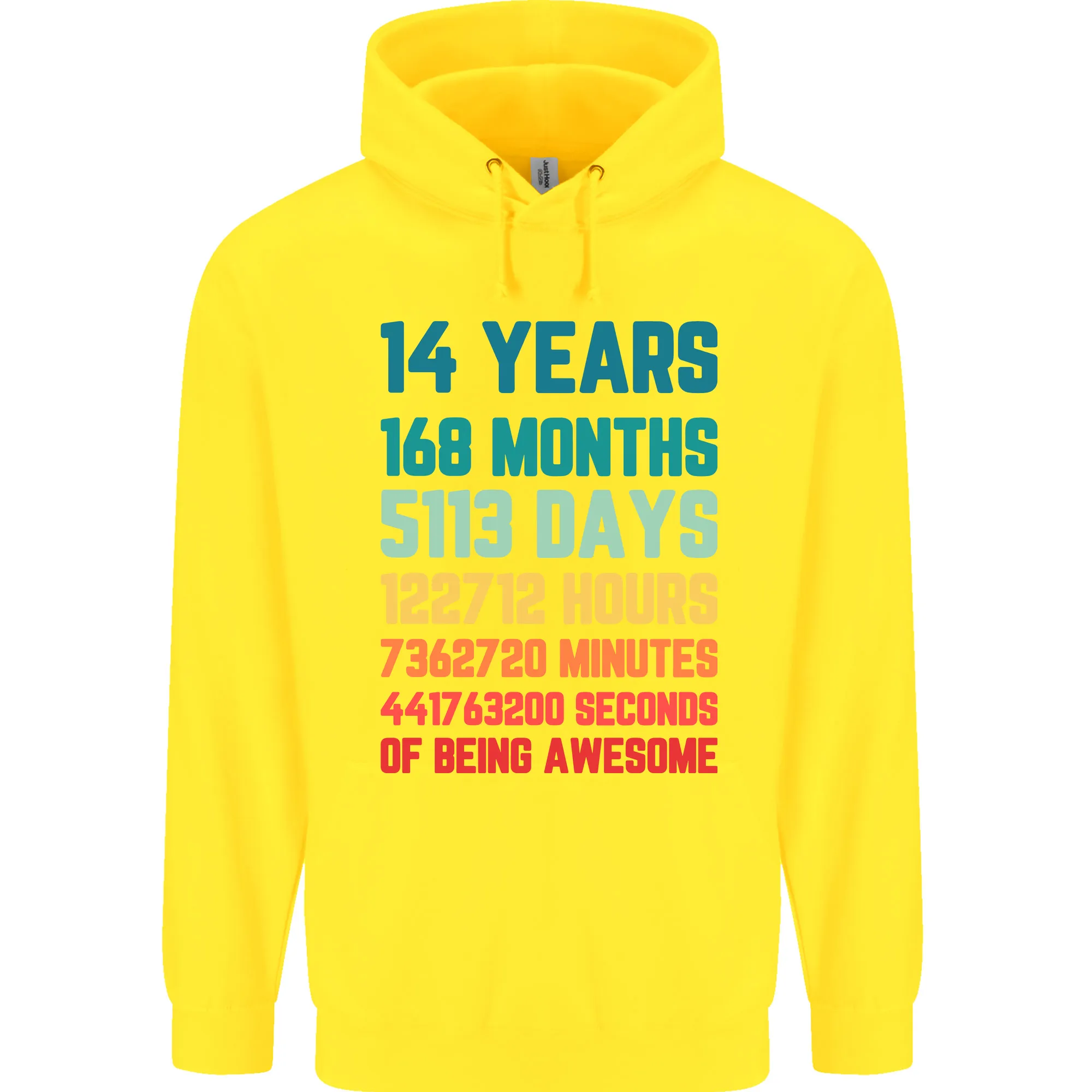 14th Birthday 14 Year Old Childrens Kids Hoodie