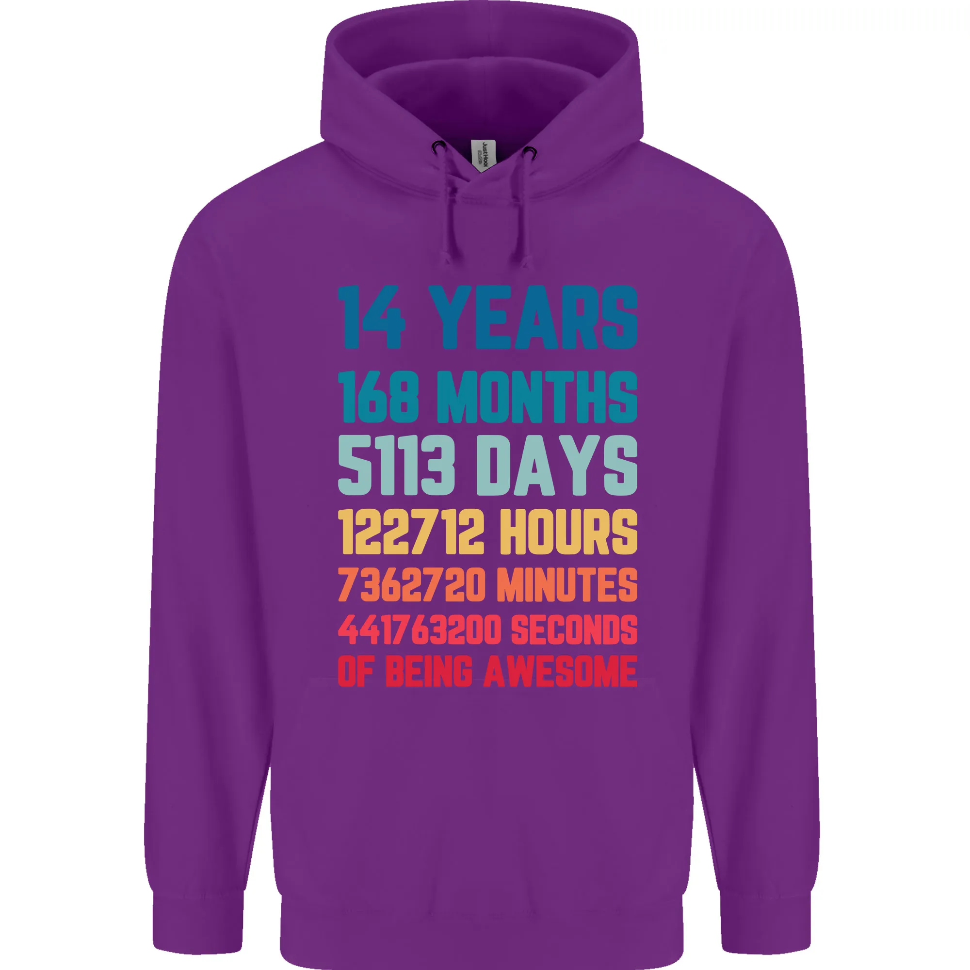 14th Birthday 14 Year Old Childrens Kids Hoodie