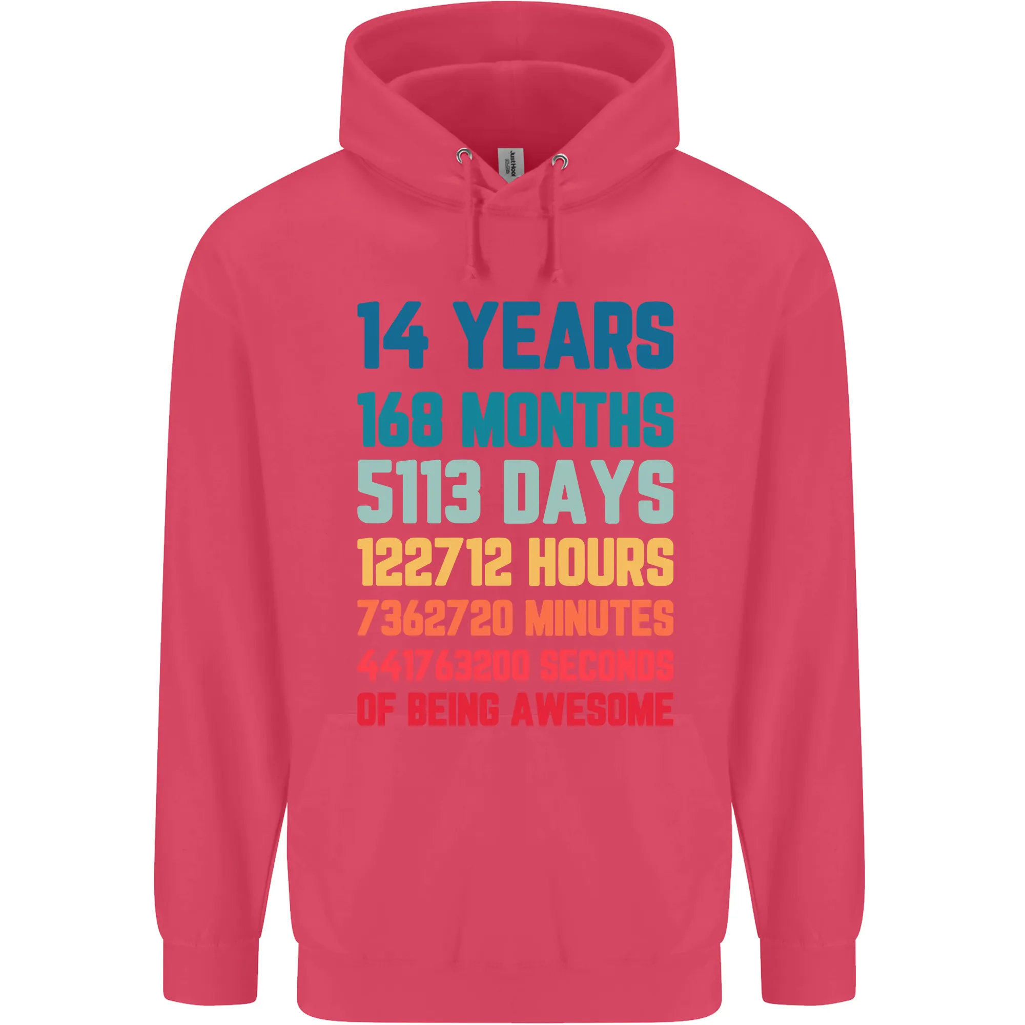 14th Birthday 14 Year Old Childrens Kids Hoodie