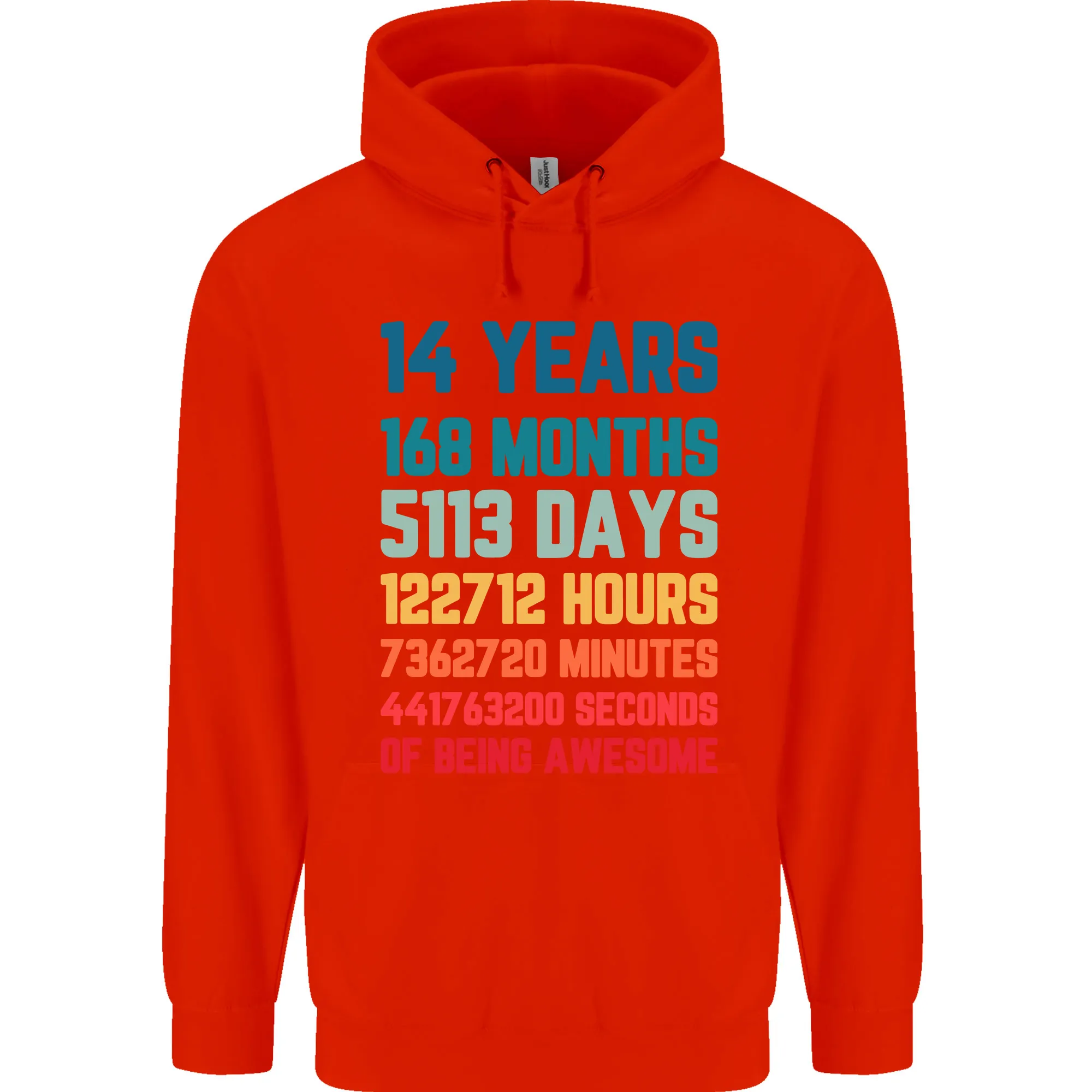 14th Birthday 14 Year Old Childrens Kids Hoodie