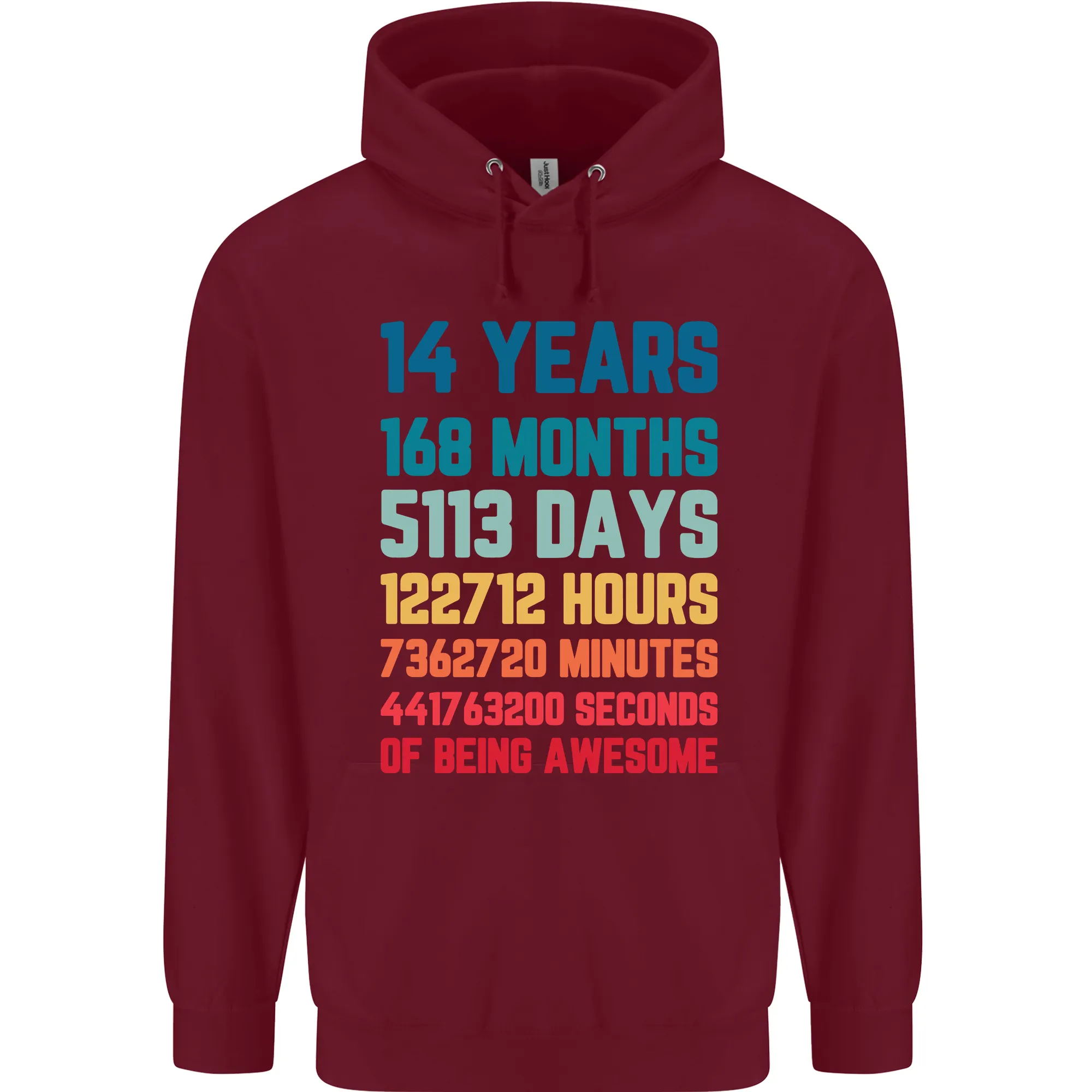 14th Birthday 14 Year Old Childrens Kids Hoodie