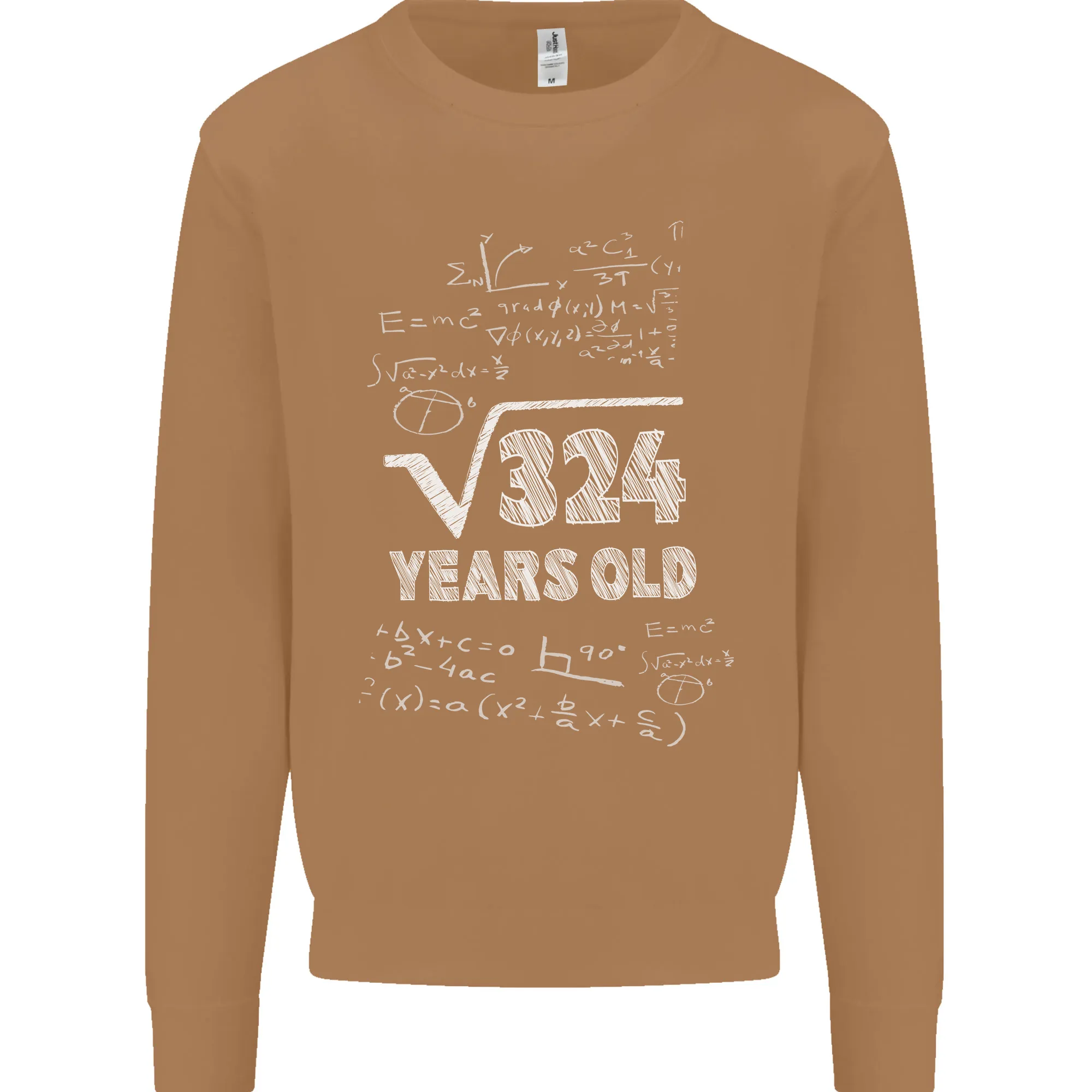 18th Birthday 18 Year Old Geek Funny Maths Mens Sweatshirt Jumper