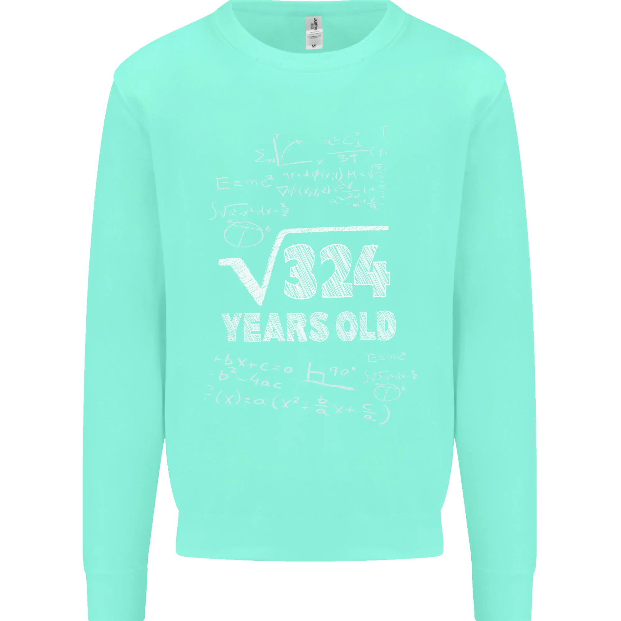 18th Birthday 18 Year Old Geek Funny Maths Mens Sweatshirt Jumper