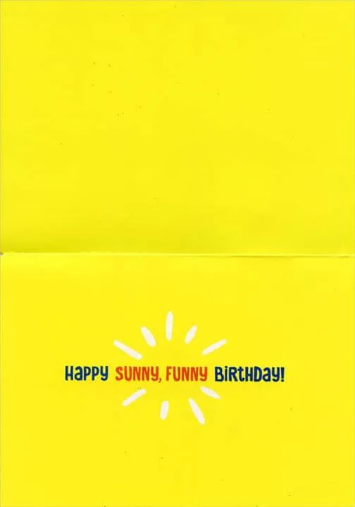 Avanti Alpaca Greeting Card - Happy Sunny, Funny Birthday