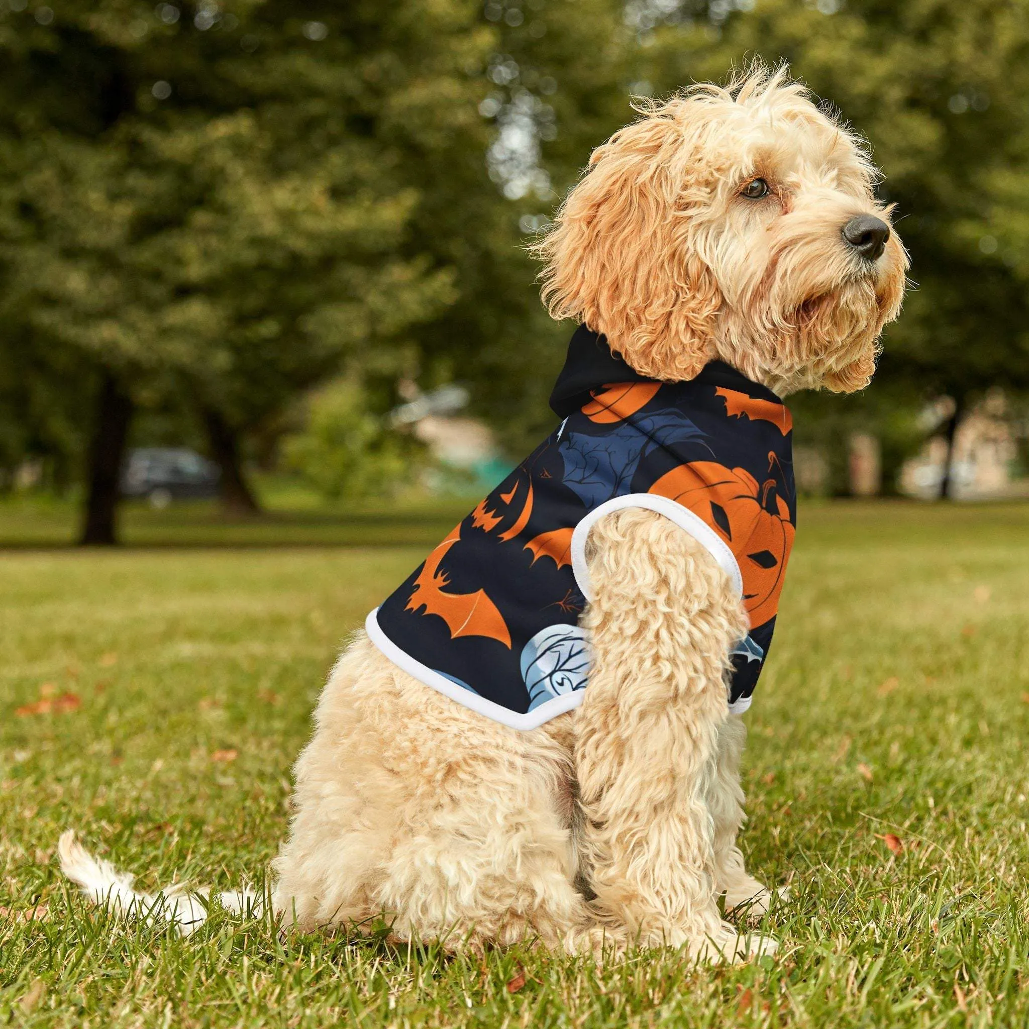 Boo Pet Halloween Scary Hoodie