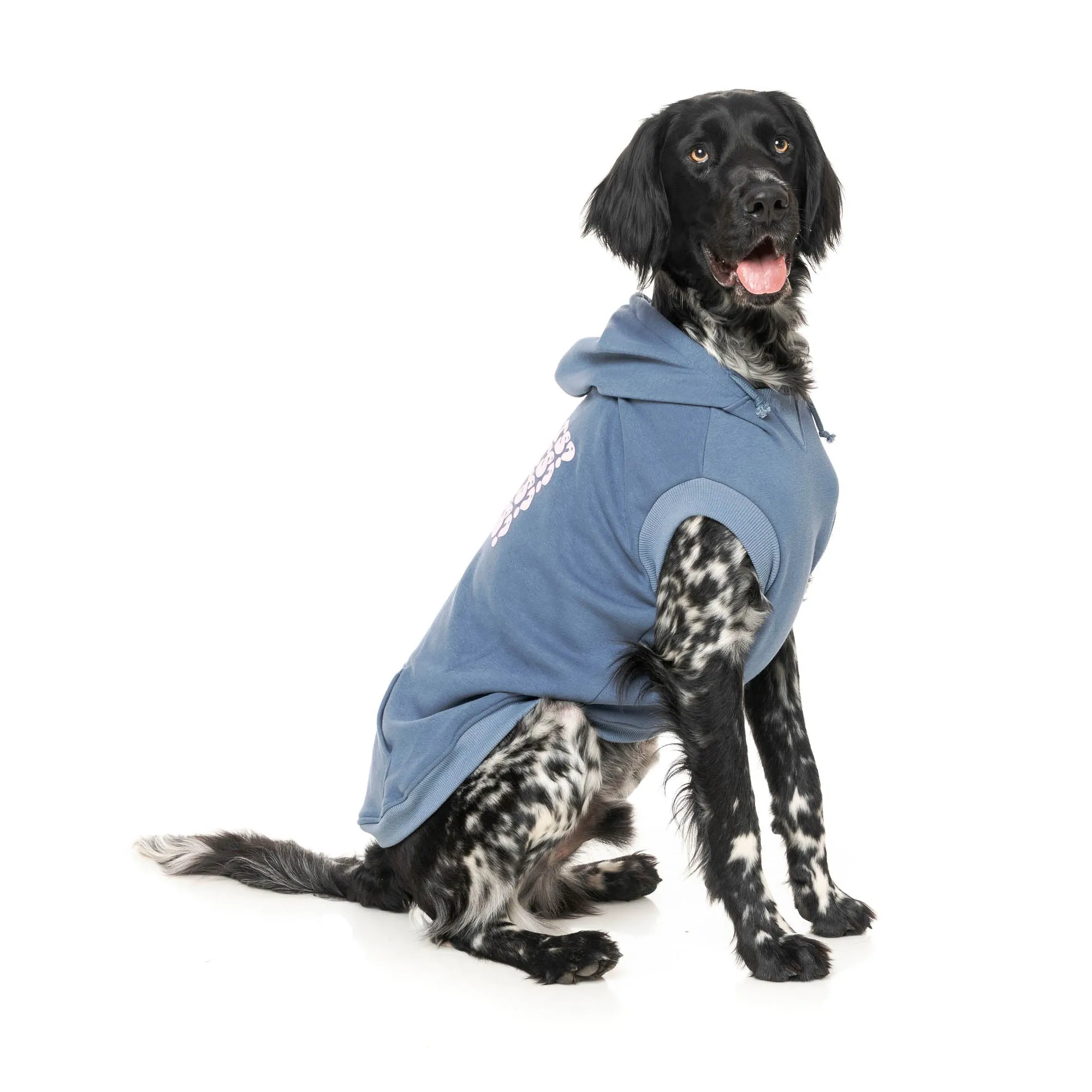 FuzzYard Dog Apparel Treats Hoodie Blue Size 1 XXSmall***