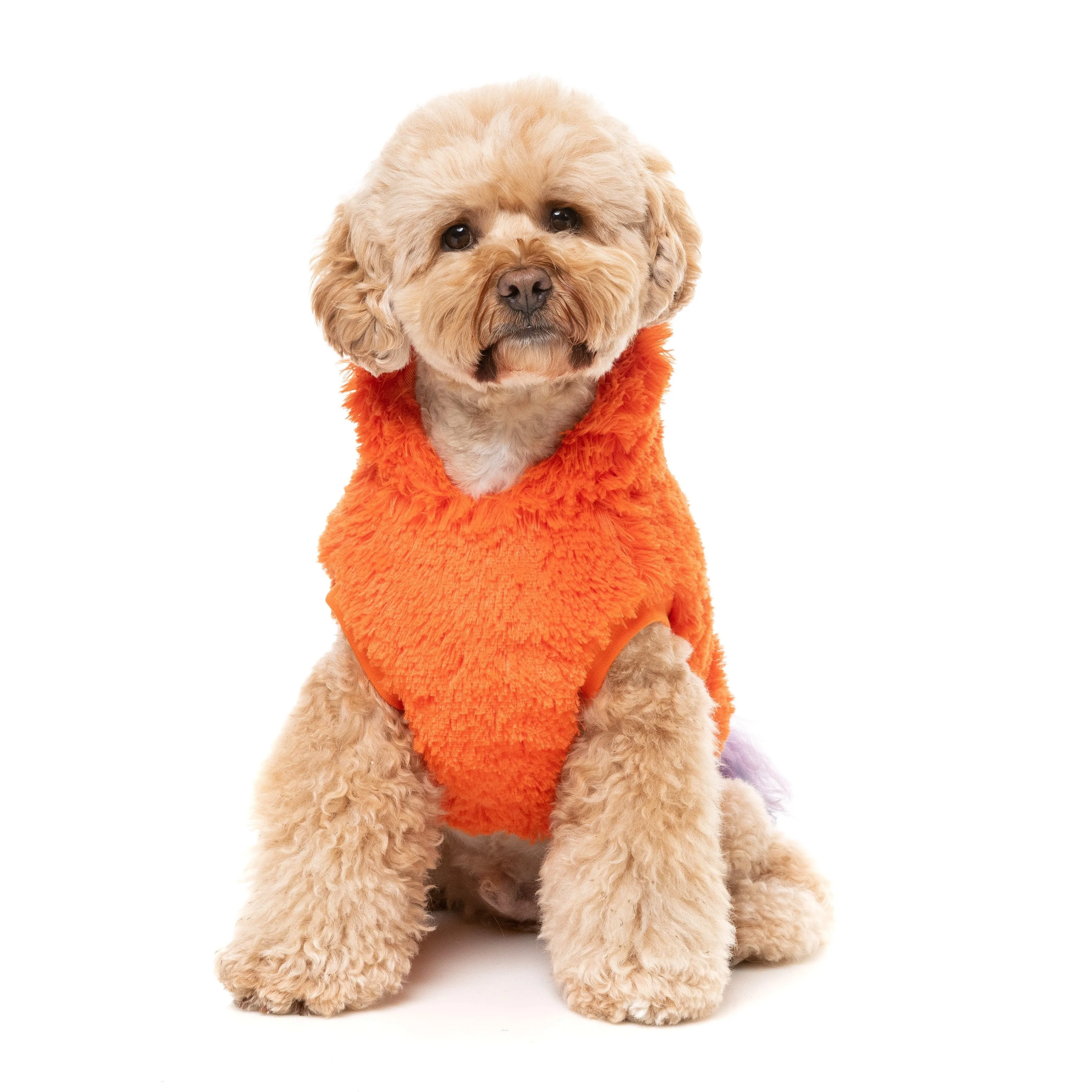 FuzzYard Halloween Dog Apparel Pumpkin Head Hoodie Size 1***