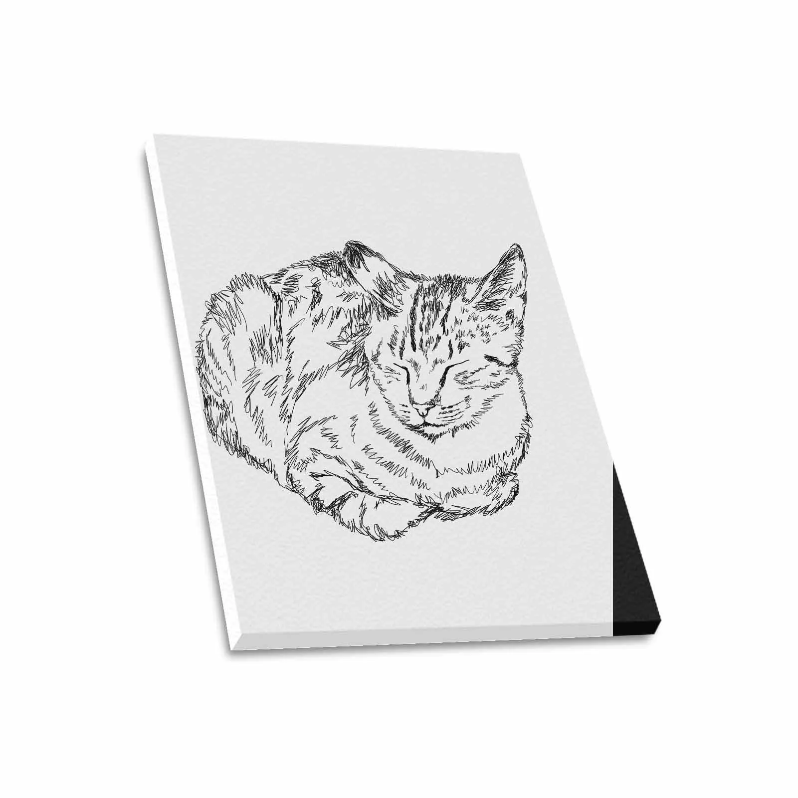 Uniquely You Wall Art / Sleepy Cat  Frame Canvas Print 20"x24"