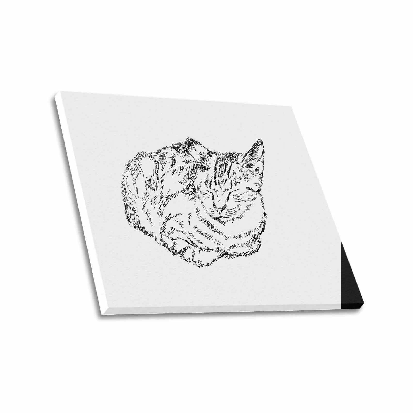 Uniquely You Wall Art / Sleepy Cat  Frame Canvas Print 24"x20"