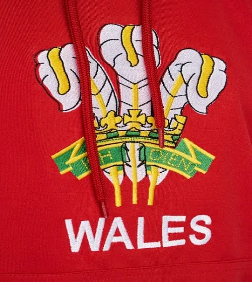 Wales Rugby Unisex Pullover Hoodie | Full Sleeve with Embroidered Logo